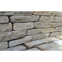 Fossil Mint Indian Sandstone 